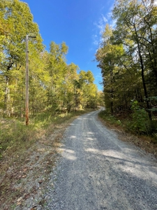 Mount Ida  Arkansas Land For Sale - image 32