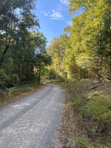 Mount Ida  Arkansas Land For Sale - image 4