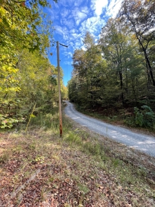 Mount Ida  Arkansas Land For Sale - image 30
