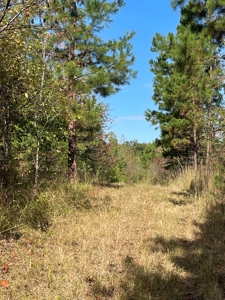 Mount Ida  Arkansas Land For Sale - image 17