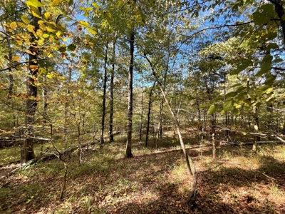 Mount Ida  Arkansas Land For Sale - image 23