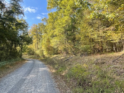 Mount Ida  Arkansas Land For Sale - image 33