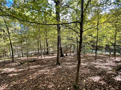 Mount Ida  Arkansas Land For Sale - image 29