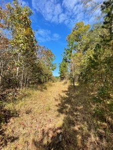 Mount Ida  Arkansas Land For Sale - image 18