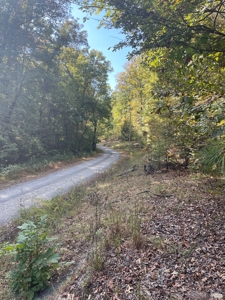 Mount Ida  Arkansas Land For Sale - image 6