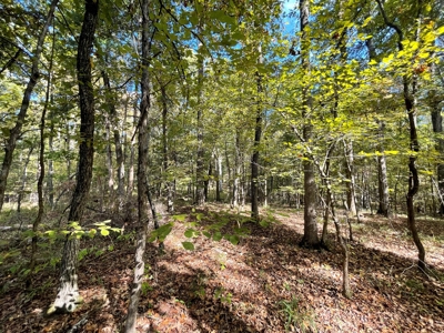 Mount Ida  Arkansas Land For Sale - image 25