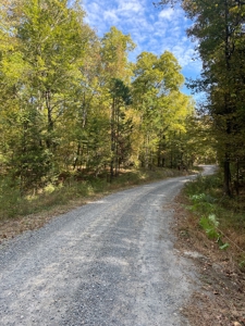 Mount Ida  Arkansas Land For Sale - image 3
