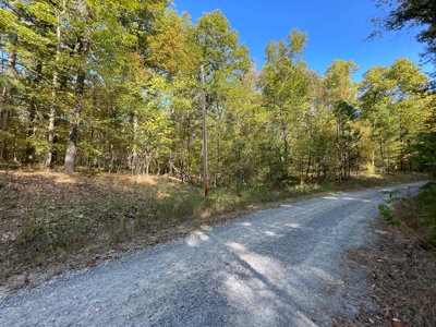 Mount Ida  Arkansas Land For Sale - image 35