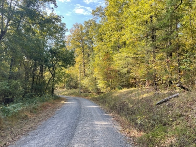 Mount Ida  Arkansas Land For Sale - image 36