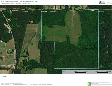 142 Acre Hunting/Recreational Land for Sale LA/MS State Line - image 26