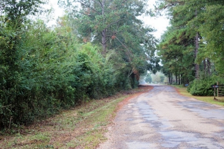 142 Acre Hunting/Recreational Land for Sale LA/MS State Line - image 23
