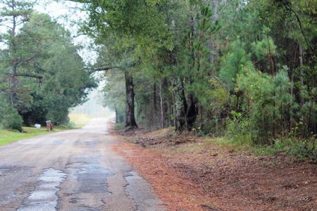 142 Acre Hunting/Recreational Land for Sale LA/MS State Line - image 22