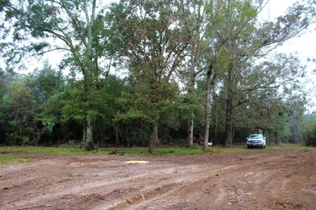 142 Acre Hunting/Recreational Land for Sale LA/MS State Line - image 4