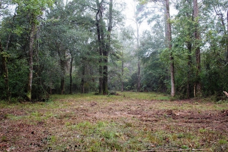 142 Acre Hunting/Recreational Land for Sale LA/MS State Line - image 10