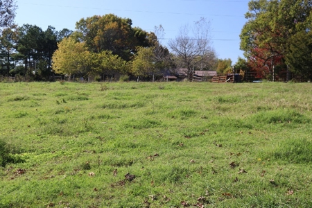 Eight Acre Tract of Land with No Restrictions - image 1