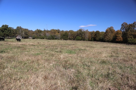 Eight Acre Tract of Land with No Restrictions - image 4