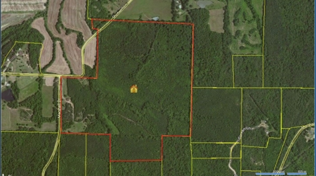 Tn Large Acreage For Sale: Hunting, Woods, Creeks, Building - image 39