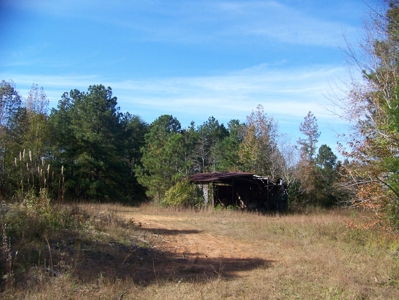 Tn Large Acreage For Sale: Hunting, Woods, Creeks, Building - image 13