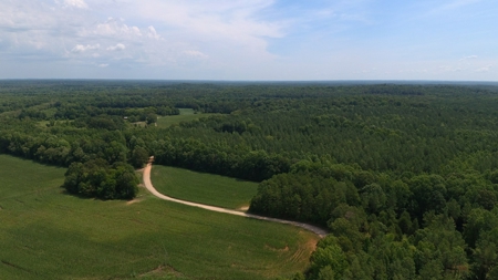 Tn Large Acreage For Sale: Hunting, Woods, Creeks, Building - image 42