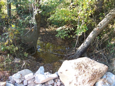 Tn Large Acreage For Sale: Hunting, Woods, Creeks, Building - image 37
