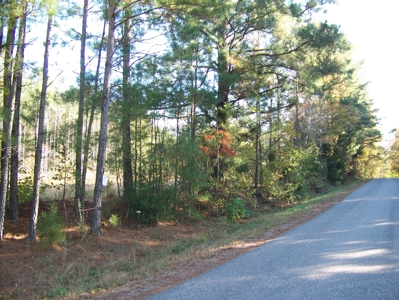 Tn Large Acreage For Sale: Hunting, Woods, Creeks, Building - image 35