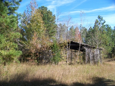 Tn Large Acreage For Sale: Hunting, Woods, Creeks, Building - image 11