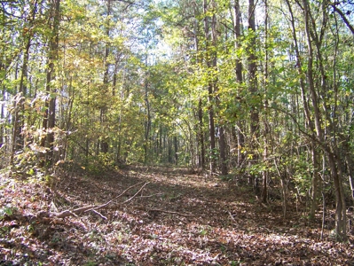 Tn Large Acreage For Sale: Hunting, Woods, Creeks, Building - image 30