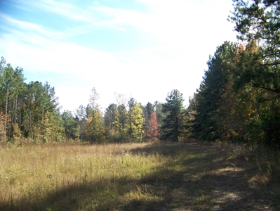 Tn Large Acreage For Sale: Hunting, Woods, Creeks, Building - image 8