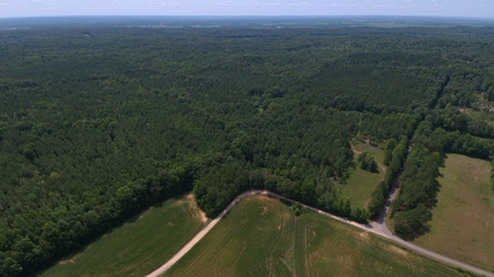 Tn Large Acreage For Sale: Hunting, Woods, Creeks, Building - image 45