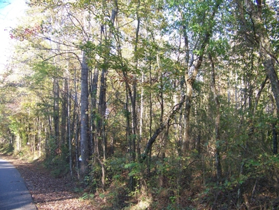 Tn Large Acreage For Sale: Hunting, Woods, Creeks, Building - image 36