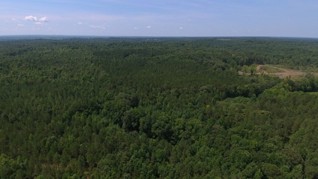 Tn Large Acreage For Sale: Hunting, Woods, Creeks, Building - image 44