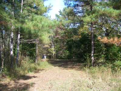 Tn Large Acreage For Sale: Hunting, Woods, Creeks, Building - image 17
