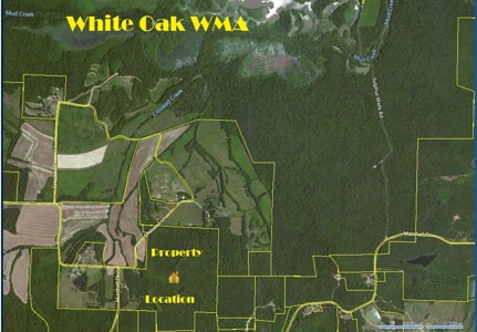 Tn Large Acreage For Sale: Hunting, Woods, Creeks, Building - image 40