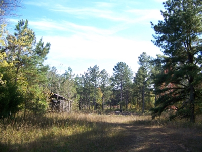 Tn Large Acreage For Sale: Hunting, Woods, Creeks, Building - image 9