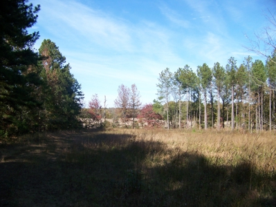 Tn Large Acreage For Sale: Hunting, Woods, Creeks, Building - image 10