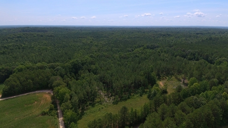 Tn Large Acreage For Sale: Hunting, Woods, Creeks, Building - image 41