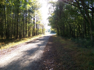 Tn Large Acreage For Sale: Hunting, Woods, Creeks, Building - image 7