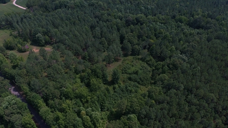 Tn Large Acreage For Sale: Hunting, Woods, Creeks, Building - image 43