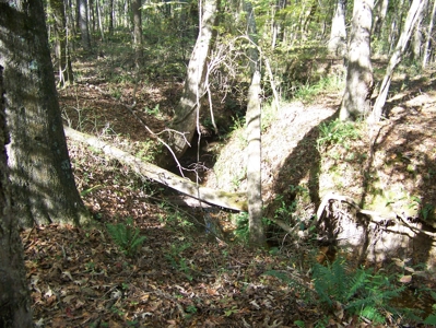 Tn Large Acreage For Sale: Hunting, Woods, Creeks, Building - image 20