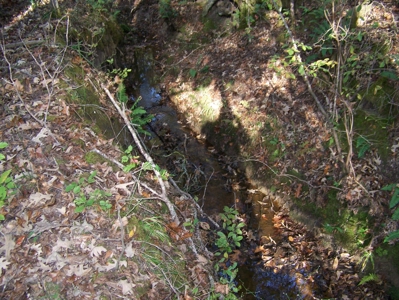 Tn Large Acreage For Sale: Hunting, Woods, Creeks, Building - image 33