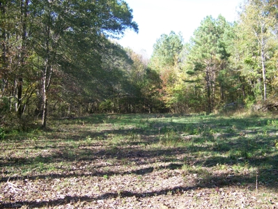 Tn Large Acreage For Sale: Hunting, Woods, Creeks, Building - image 23