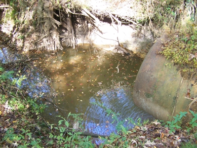 Tn Large Acreage For Sale: Hunting, Woods, Creeks, Building - image 19