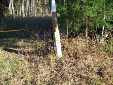 Tn Large Acreage For Sale: Hunting, Woods, Creeks, Building - image 38