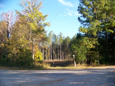Tn Large Acreage For Sale: Hunting, Woods, Creeks, Building - image 2