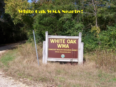 Tn Large Acreage For Sale: Hunting, Woods, Creeks, Building - image 4