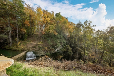 Two Custom Homes Mins From I-40 on 133ac Monterey, Tennessee - image 3