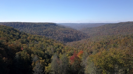 Two Custom Homes Mins From I-40 on 133ac Monterey, Tennessee - image 38