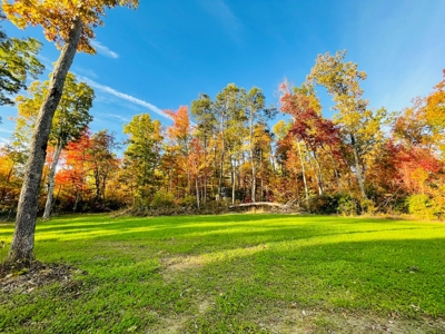 Two Custom Homes Mins From I-40 on 133ac Monterey, Tennessee - image 39