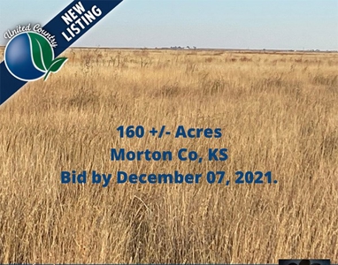 Morton Co, Ks ~ 160+/- Expired Crp Grass ~ Private Auction - image 1