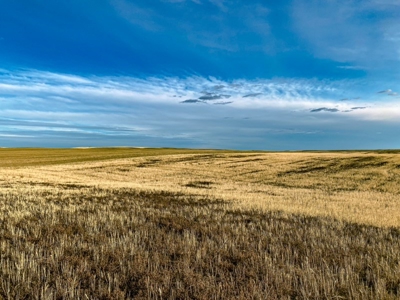 Montana Wheat Farm, Tillable Acres in Production For Sale - image 3
